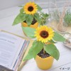 Seishin Pottery Mini Sunflower Cultivation Set