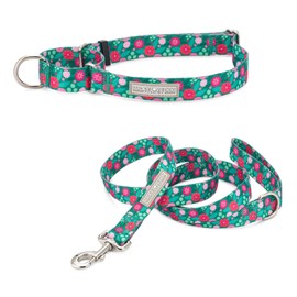 Lucky Love Dog Martingale Dog Collar & Leash - Adjustable, No-Slip, Durable, Comfortable, Soft Webbing, & Stylish Patterned Collar & Leash Set for Male and Female Dogs - Penny Combo, Small