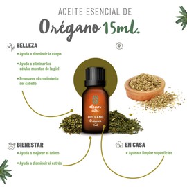 OLEUM VITAE Aceite Esencial de Orégano. Origanum Vulgare. 100% Puro y Orgánico. Aplicación Interna, Externa y Aromática.15ml