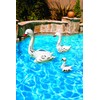 Poolmaster 81411 Floating Swimming Pool Backyard Décor, 3 Pack, Swan