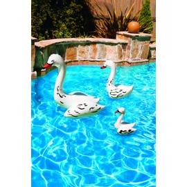 Poolmaster 81411 Floating Swimming Pool Backyard Décor, 3 Pack, Swan Family
