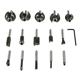 RYOBI - RAKRBS15 RAKRBS15 15 Piece Set with 6mm Shank (File, Straight, V-Groove, Groove, Groove, Folded, Dovetail, Soft Edge, Round, Fold)