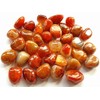 Pachamama Essentials Fire Agate Tumbled - Healing Stone - Crystal