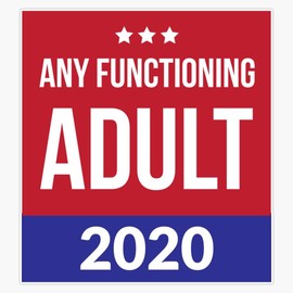 LAD Studio Any Functioning Adult - 2020 Us Election Sticker Bumper Sticker Vinyl Decal 5""