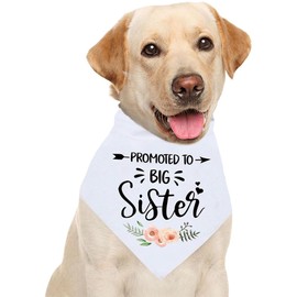 WKRTDY 1 Piece Pregnancy Announcement Dog Bandana Big Sister Pet Bandana & Photo Prop - Dog Bandana for Pets - Dogs Love Gifts