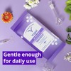 Vagisil pH Balance Daily Freshening Wipes for Feminine Hygiene in