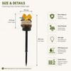 Solar Garden Bird Light for Outdoor Decor – Weather-Resistant Resin