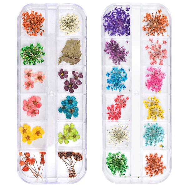 TEOYALL 24 Colors Dried Flowers for Nail Art, 2 Boxes 3D Dry Flowers Nail Stickers Colorful Natural Real Flower Nail Decals