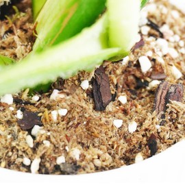 Kapecute 2 Quart Monstera Soil, Well-Draining, Moisture-Retentive and Slightly Acidic Potting Soil Mix for Growing and Repotting Monstera Deliciosa/Swiss Cheese Plant