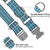 JOYEEIIOO Martingale Collar for Dogs, Reflective, Metal Buckle,Blue,M