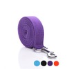 Durable Nylon Dog Leash 16 Feet Long, Walking Training Dog