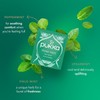 Pukka Herbs Three Mint Organic Herbal Tea Box - 40