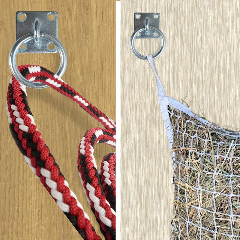 Connecting Ring, Horse, Cattle, Mounting Hook for Screwing, Solid Stainless