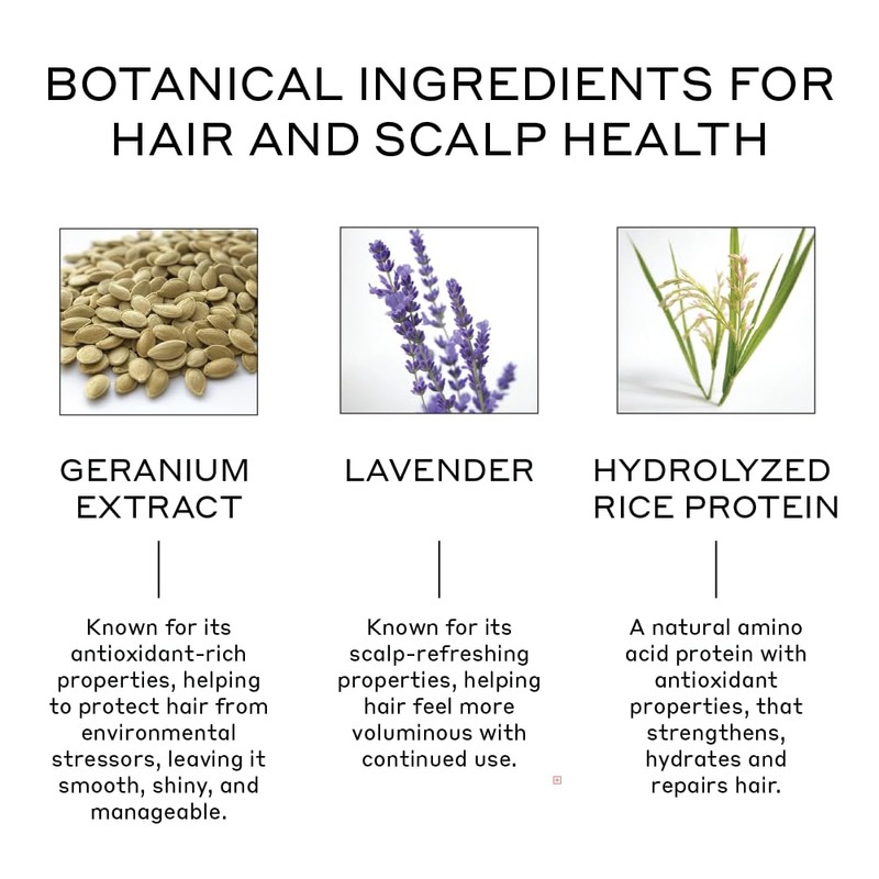 ZENAGEN Volume Foam | Lightweight Densifier + Volumizer, Boosts Hair