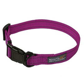Regatta Hardwearing Comfort Dog Walking Collar Multiple Size & Colour