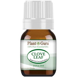 Clove Leaf Essential Oil 5 ml 100% Pure Undiluted Therapeutic Grade. Sample Size