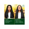 Shampoo sin sal Herbal Essences Nutre e Hidrata 400 ml