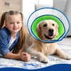 Rinling Dog Cone for Dogs After Surgery, Soft Elizabethan Collar