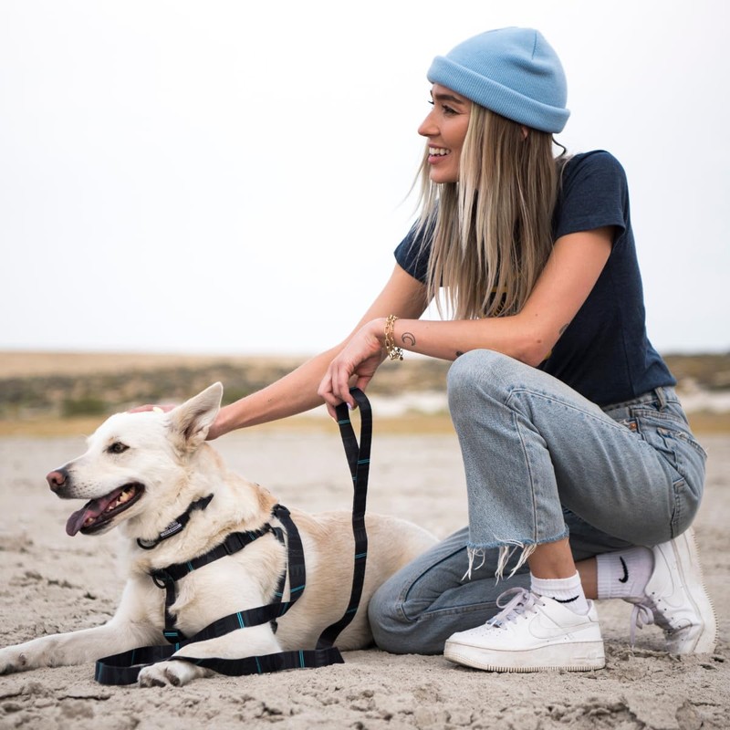 Wolfgang Heavy Duty Adjustable Dog Harness, Pull-Tested to Over 800