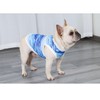 PetGround Dog Clothes, Summer Clothing, Cool to Touch, Cool Shirt,