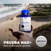 Glutation Adicionado Con Cardo Mariano Y Ácido Alfa Lipoico 5H8