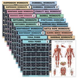 20 Pack - Exercise Poster Set: Dumbbell, Suspension, Battle Rope, Stretching, Bodyweight, Barbell, Yoga, Exercise Ball, Muscular, Kettlebell, Resistance Bands and More [Dark] (LAMINATED, 18” x 24”)