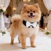 HDGDT White Dog Bow Tie Collar, Adjustable Formal Pet Collar