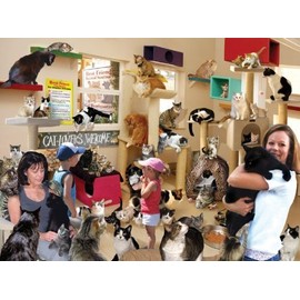 Take Me, I'm Yours! 1000 pc Jigsaw Puzzle