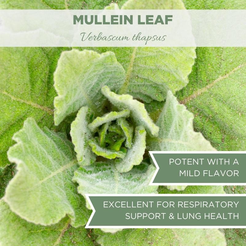 Elanen Naturals Mullein Leaf, USDA Certified Organic, Cut & Sifted