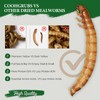 COOHGRUBS Dried Mealworms for Chickens, 100% Natural Premium Protein Chicken