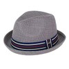 Peter Grimm Depp Fedora Hat Grey