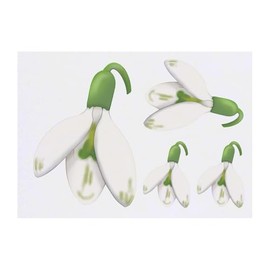 4 x 'Snowdrop Flower' Temporary Tattoos - Water Resistant, Skin-Safe, Non-Toxic Transfers, Mixed Sizes (TO00085240)