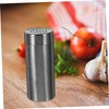 IWOWHERO 2Pcs Stainless Steel Kitchen Spice Portable Condiment Dispenser for