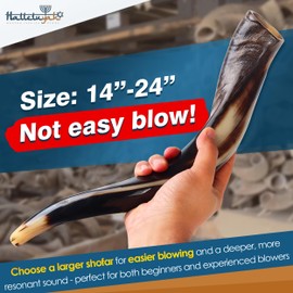 HalleluYAH Original Kosher Half-Polished Kudu Shofar From ISRAEL