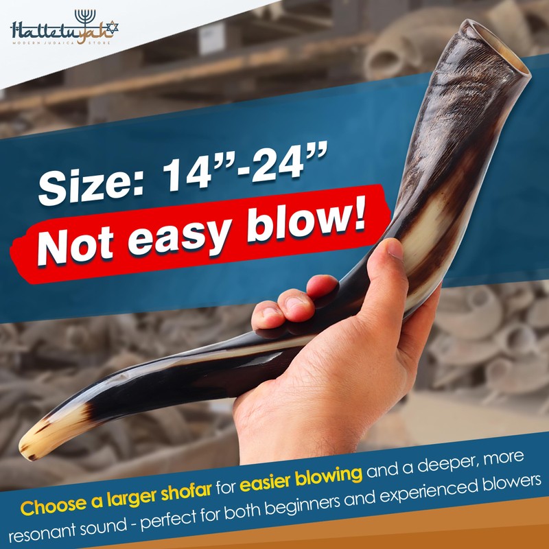 HalleluYAH Original Kosher Half-Polished Kudu Shofar From ISRAEL