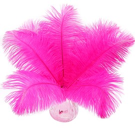 10pcs Natural Hot Pink Ostrich Feathers 12-14inch 30-35cm for Wedding Party Centerpieces, Easter Home Decorations