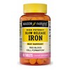 Mason Vitamins Slow Release Iron Compare to The Active Ingredients