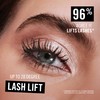 Thrill Seeker Mega Lift Mascara Black