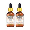 Greenwood Essential Pure Citronella Essential Oil (Cymbopogon nardus) with Glass