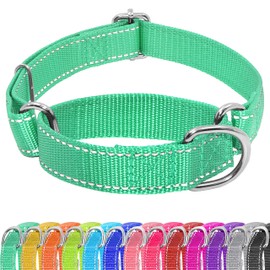 Seyezo Martingale Dog Collar, Slip Martingale Collar for Dogs with No Buckle, Reflective Pet Trainning Collar For Small Medium Large Dog, Adjustable Heavy Duty Nylon No Pull Slip Collar, XS, Turquoise