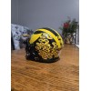 Michigan Mini Helmet with Visor