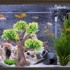 Artificial Fish Tank Plants Soft Safe Fade Resistant Aquarium Plants