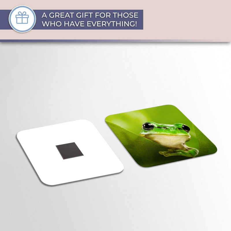 Destination Vinyl ltd Fridge Magnet - Green Tree Frog Jungle