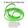 Slip Lead – 5ft Lightweight Waterproof Dog Leash with Slip