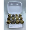 Fresh Quail Eggs(24)