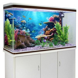 YongFoto Fish Tank Background 72x24 inch Aquarium Background Coral Seaweed Reef Rock Tropical Fish Underwater Sea World Backdrop Reptile Terrarium Background Bearded Dragon Habitat Background