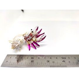 Sansukjai Seashell Hermit Crab Miniature Figurines Beach Animals Hand Blown Glass Art Natural Collectible Gift Decorate, Multi-Violet