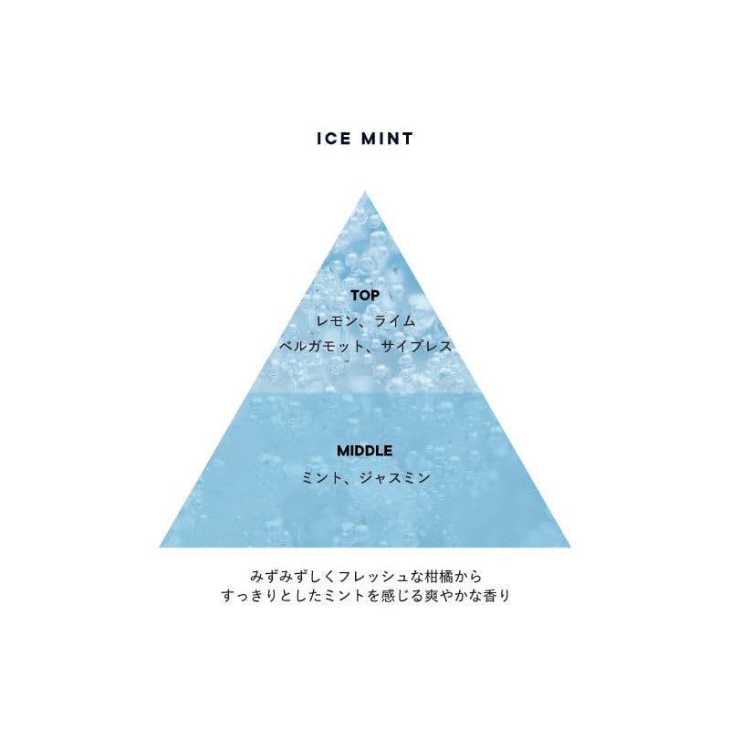 SHIRO Ice Mint Shampoo, 9.5 fl oz (280 ml) Hair