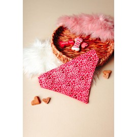 Valentine's Hearts Over the Collar Dog Bandana That Slips onto Their Existing Collar Size (Small)