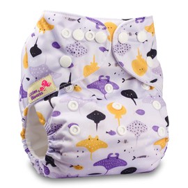 Littles & Bloomz, Reusable Pocket Cloth Nappy, Fastener: Popper, Set of 1, Pattern 79, with 1 Microfibre Insert